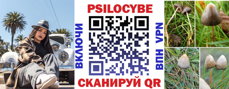 закладки  Аркадак  Псилоцибиновые грибы GOLDEN TEACHER 